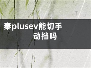 秦plusev能切手動(dòng)擋嗎