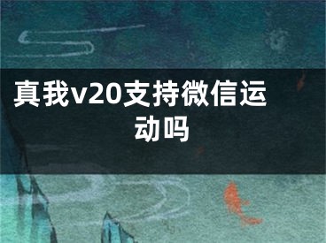 真我v20支持微信運(yùn)動嗎