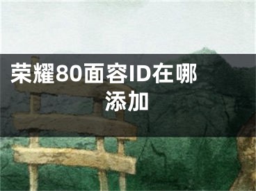 榮耀80面容ID在哪添加