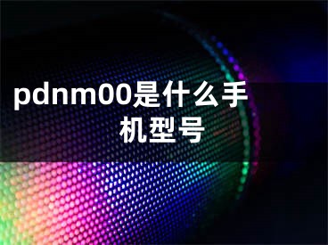 pdnm00是什么手機(jī)型號(hào)