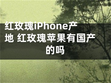 紅玫瑰iPhone產(chǎn)地 紅玫瑰蘋果有國產(chǎn)的嗎