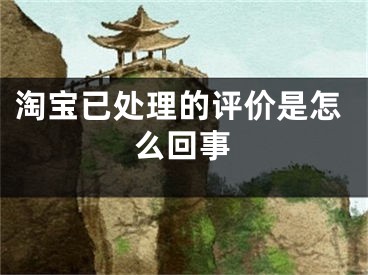 淘寶已處理的評(píng)價(jià)是怎么回事