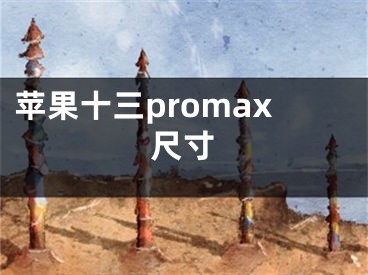 蘋果十三promax尺寸