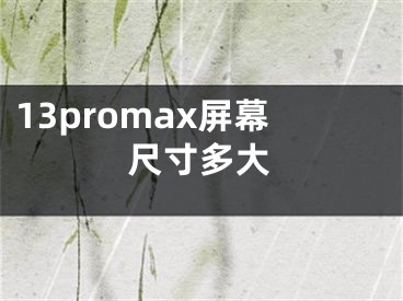 13promax屏幕尺寸多大