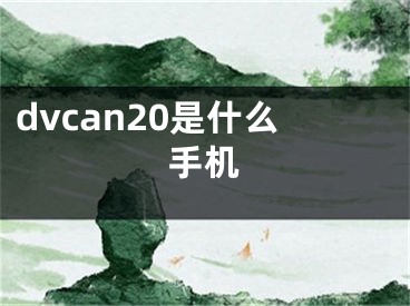 dvcan20是什么手機