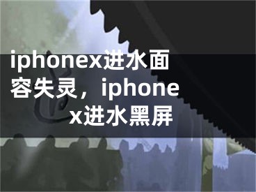 iphonex進水面容失靈，iphonex進水黑屏