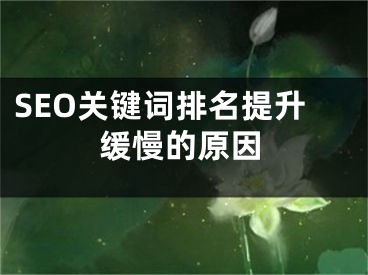 SEO關(guān)鍵詞排名提升緩慢的原因