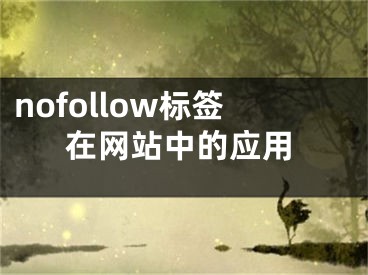 nofollow標(biāo)簽在網(wǎng)站中的應(yīng)用