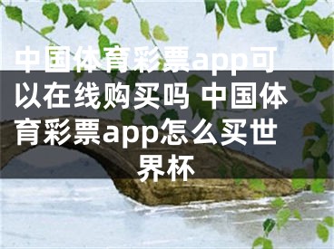 中國體育彩票app可以在線購買嗎 中國體育彩票app怎么買世界杯