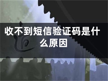 收不到短信驗(yàn)證碼是什么原因