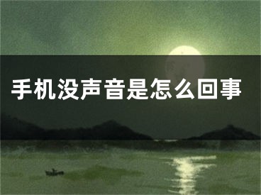 手機(jī)沒聲音是怎么回事