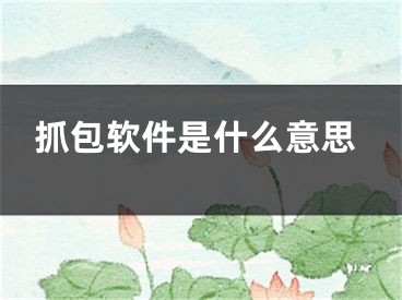 抓包軟件是什么意思