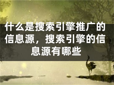 什么是搜索引擎推廣的信息源，搜索引擎的信息源有哪些