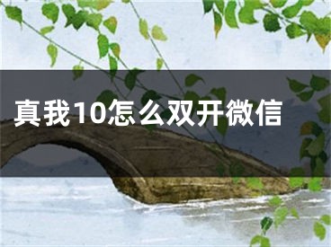 真我10怎么雙開微信