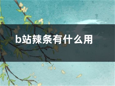 b站辣條有什么用