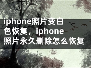 iphone照片變白色恢復(fù)，iphone照片永久刪除怎么恢復(fù)