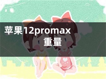 蘋果12promax重量