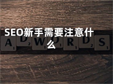 SEO新手需要注意什么 