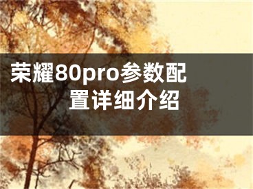 榮耀80pro參數(shù)配置詳細介紹