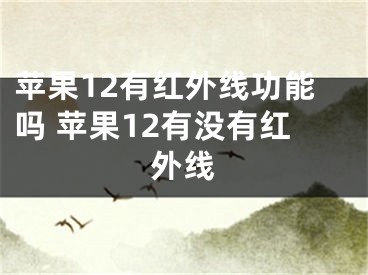 蘋果12有紅外線功能嗎 蘋果12有沒有紅外線