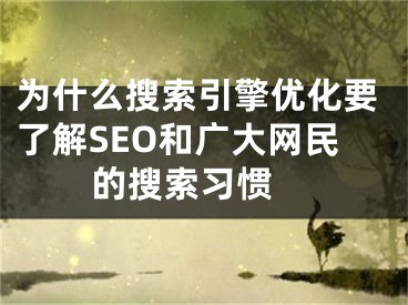 為什么搜索引擎優(yōu)化要了解SEO和廣大網(wǎng)民的搜索習(xí)慣 