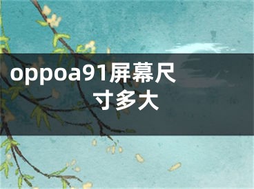 oppoa91屏幕尺寸多大