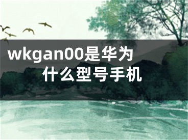 wkgan00是華為什么型號手機(jī)