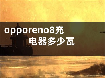 opporeno8充電器多少瓦