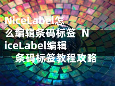 NiceLabel怎么編輯條碼標(biāo)簽  NiceLabel編輯條碼標(biāo)簽教程攻略