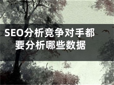 SEO分析競爭對手都要分析哪些數(shù)據(jù) 