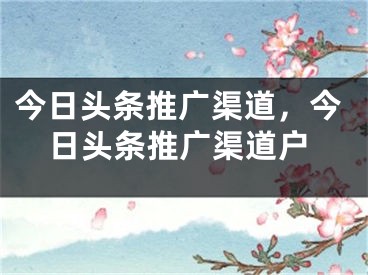 今日頭條推廣渠道，今日頭條推廣渠道戶