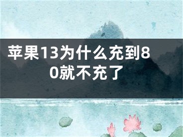 蘋果13為什么充到80就不充了