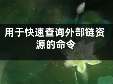 用于快速查詢外部鏈資源的命令