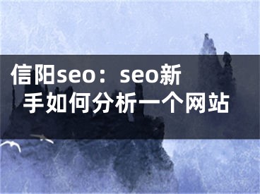 信陽seo：seo新手如何分析一個網(wǎng)站