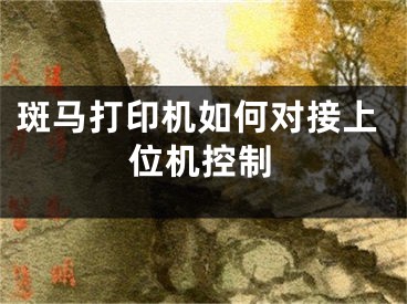 斑馬打印機如何對接上位機控制