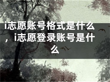 i志愿賬號格式是什么，i志愿登錄賬號是什么