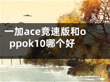 一加ace競(jìng)速版和oppok10哪個(gè)好