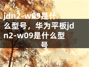 jdn2-w09是什么型號(hào)，華為平板jdn2-w09是什么型號(hào)