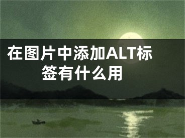 在圖片中添加ALT標(biāo)簽有什么用 