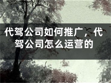 代駕公司如何推廣，代駕公司怎么運(yùn)營的