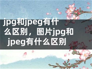 jpg和jpeg有什么區(qū)別，圖片jpg和jpeg有什么區(qū)別