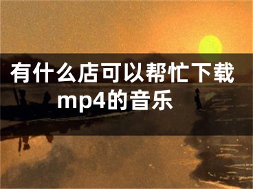 有什么店可以幫忙下載mp4的音樂(lè)