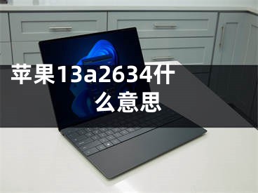 蘋果13a2634什么意思