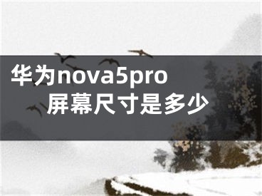 華為nova5pro屏幕尺寸是多少