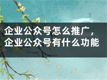 企業(yè)公眾號(hào)怎么推廣，企業(yè)公眾號(hào)有什么功能