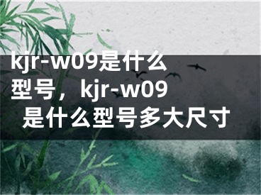 kjr-w09是什么型號(hào)，kjr-w09是什么型號(hào)多大尺寸