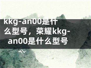 kkg-an00是什么型號，榮耀kkg-an00是什么型號