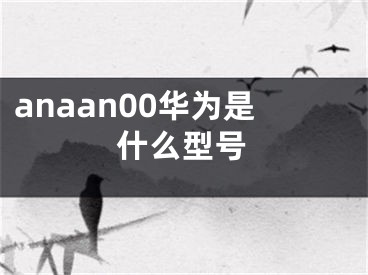 anaan00華為是什么型號