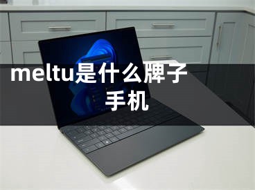 meltu是什么牌子手機