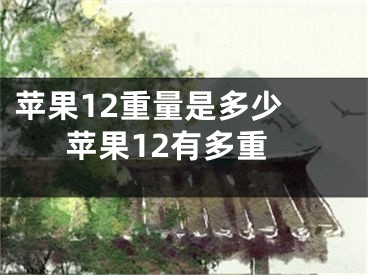 蘋果12重量是多少 蘋果12有多重